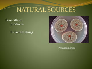 Penecillum mold
Penecillium
produces
B- lactam drugs
NATURAL SOURCES
 