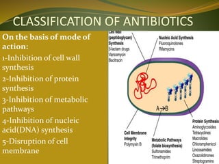 CLASSIFICATION OF ANTIBIOTICS
On the basis of mode of
action:
1-Inhibition of cell wall
synthesis
2-Inhibition of protein
synthesis
3-Inhibition of metabolic
pathways
4-Inhibition of nucleic
acid(DNA) synthesis
5-Disruption of cell
membrane
 