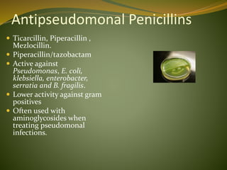 Antipseudomonal Penicillins
 Ticarcillin, Piperacillin ,
Mezlocillin.
 Piperacillin/tazobactam
 Active against
Pseudomonas, E. coli,
klebsiella, enterobacter,
serratia and B. fragilis.
 Lower activity against gram
positives
 Often used with
aminoglycosides when
treating pseudomonal
infections.
 