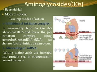 Aminoglycosides(30s)
 Bactericidal
 Mode of action:
Two imp modes of action
1- Inhibition of initiation complex:
It irreversibly bind to the 16S
ribosomal RNA and freeze the 30S
initiation complex (drug
treated30S-50s,mRNA-tRNA) so
that no further initiation can occur.
2- Misreading of mRNA:
Wrong amino acids are inserted
into protein e,g, in streptomycin-
treated bacteria.
 