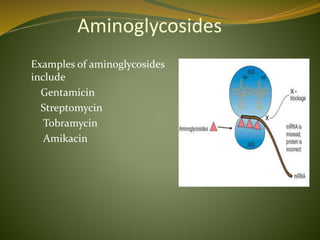Aminoglycosides
Examples of aminoglycosides
include
Gentamicin
Streptomycin
Tobramycin
Amikacin
 