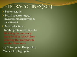 TETRACYCLINES(30s)
 Bacteriostatic
 Broad spectrum(g+,g-
mycoplasma,chlamydia &
rickettsiae)
 Mode of action:
Inhibit protein synthesis by
blocking the aminoacyl
transfer RNA (tRNA)from
entering the acceptor site
on the ribosome's.
e.g. Tetracyclin, Doxycyclin,
Minocyclin, Tegicyclin
 