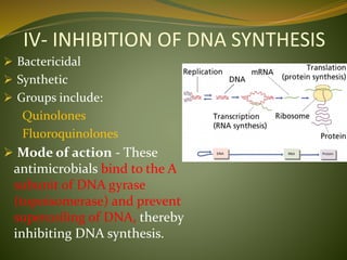 IV- INHIBITION OF DNA SYNTHESIS
 Bactericidal
 Synthetic
 Groups include:
Quinolones
Fluoroquinolones
 Mode of action - These
antimicrobials bind to the A
subunit of DNA gyrase
(topoisomerase) and prevent
supercoiling of DNA, thereby
inhibiting DNA synthesis.
 