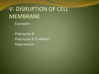 V- DISRUPTION OF CELL
MEMBRANE
Examples:
Polymyxin B
Polymyxin E (Colistin)
Daptomycin
 