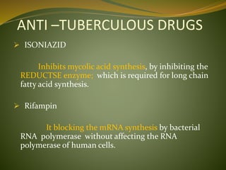 ANTI –TUBERCULOUS DRUGS
 ISONIAZID
Inhibits mycolic acid synthesis, by inhibiting the
REDUCTSE enzyme; which is required for long chain
fatty acid synthesis.
 Rifampin
It blocking the mRNA synthesis by bacterial
RNA polymerase without affecting the RNA
polymerase of human cells.
 