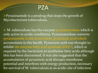 PZA
Pyrazinamide is a prodrug that stops the growth of
Mycobacterium tuberculosis.
 M. tuberculosis has the enzyme pyrazinamidase which is
only active in acidic conditions. Pyrazinamidase converts
pyrazinamide to the active form, pyrazinoic acid which
accumulates in the bacilli. Pyrazinoic acid was thought to
inhibit the enzyme fatty acid synthase (FAS) I, which is
required by the bacterium to synthesise fatty acids although
this has been discounted. It was also suggested that the
accumulation of pyrazinoic acid disrupts membrane
potential and interferes with energy production, necessary
for survival of M. tuberculosis at an acidic site of infection.
 