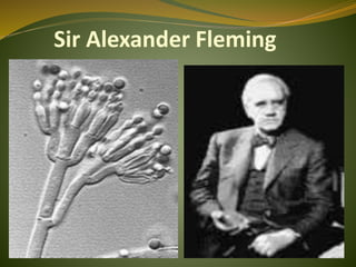 Sir Alexander Fleming
 