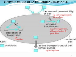 4
COMMON MODES OF ANTIMICROBIAL RESISTANCE
e.g.
Penicillins
e.g. aminoglycosides ,
chloramphenicol &
penicillins
e.g.tetracyclines
e.g. aminoglycosides &
tetracyclines
 