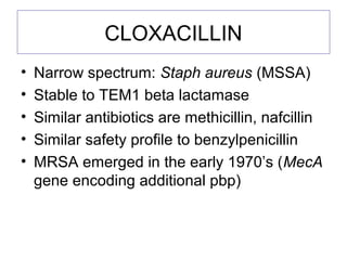 CLOXACILLIN
• Narrow spectrum: Staph aureus (MSSA)
• Stable to TEM1 beta lactamase
• Similar antibiotics are methicillin, nafcillin
• Similar safety profile to benzylpenicillin
• MRSA emerged in the early 1970’s (MecA
gene encoding additional pbp)
 