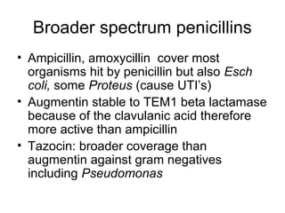 Broader spectrum penicillins
• Ampicillin, amoxycillin cover most
organisms hit by penicillin but also Esch
coli, some Proteus (cause UTI’s)
• Augmentin stable to TEM1 beta lactamase
because of the clavulanic acid therefore
more active than ampicillin
• Tazocin: broader coverage than
augmentin against gram negatives
including Pseudomonas
 