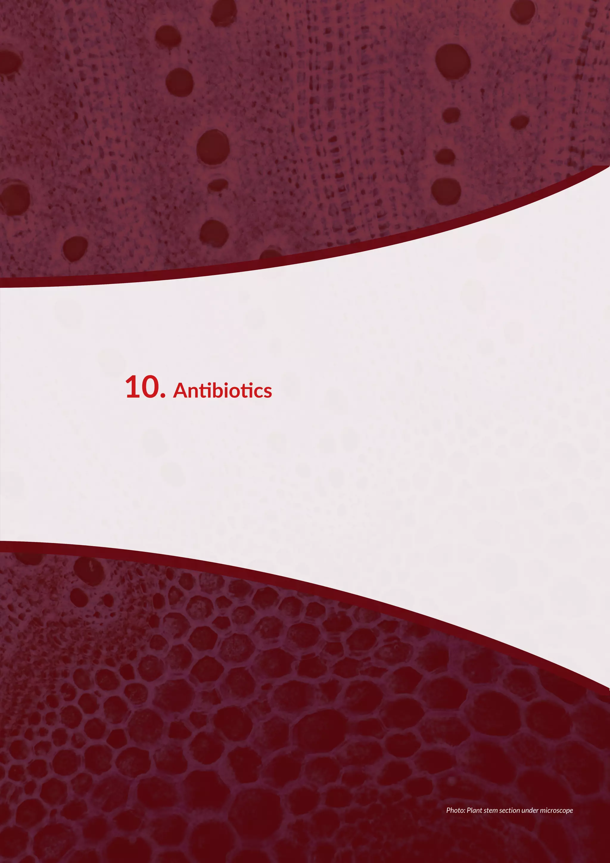 antibiotics-pdf