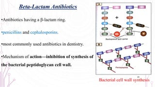 Beta-Lactam Antibiotics
•Antibiotics having a β-lactam ring.
•penicillins and cephalosporins.
•most commonly used antibiotics in dentistry.
•Mechanism of action—inhibition of synthesis of
the bacterial peptidoglycan cell wall.
Bacterial cell wall synthesis
23
 