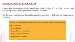 SEMISYNTHETIC PENICILLINS
•Produced by chemically combining specific side chains (in place of benzyl side chain of PnG)
or by incorporating specific precursors in the mould cultures.
•Eg. Procaine penicillin and Benzathine penicillin are salts of PnG and not semisynthetic
penicillins.
•The aim of producing semisynthetic penicillins has been to overcome the shortcomings
of PnG, which are:
1. Poor oral efficacy.
2. Susceptibility to penicillinase.
3. Narrow spectrum of activity.
4. Hypersensitivity reactions 29
 