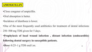 •Close congener of ampicillin.
•Oral absorption is better.
•Incidence of diarrhoea is lower.
•One of the most frequently used antibiotics for treatment of dental infections
250–500 mg TDS given for 5 days.
•Prophylaxis of local wound infection , distant infection (endocarditis)
following dental surgery in susceptible patients.
•Dose: 0.25–1 g TDS oral/i.m. 34
AMOXICILLIN
 