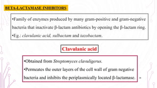 •Family of enzymes produced by many gram-positive and gram-negative
bacteria that inactivate β-lactam antibiotics by opening the β-lactam ring.
•Eg.: clavulanic acid, sulbactam and tazobactam.
•Obtained from Streptomyces clavuligerus.
•Permeates the outer layers of the cell wall of gram negative
bacteria and inhibits the periplasmically located β-lactamase. 35
BETA-LACTAMASE INHIBITORS
Clavulanic acid
 