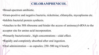•Broad-spectrum antibiotic.
•Gram-positive and negative bacteria, rickettsiae, chlamydia, mycoplasma etc.
•Inhibits bacterial protein synthesis.
•Attaches to the 50S ribosome and hinder the access of aminoacyl-tRNA to the
acceptor site for amino acid incorporation.
•Primarily bacteriostatic , high concentrations - cidal effect.
•Rapidly and completely absorbed after oral ingestion.
•Oral administration —as capsules; 250–500 mg 6 hourly
46
CHLORAMPHENICOL
 