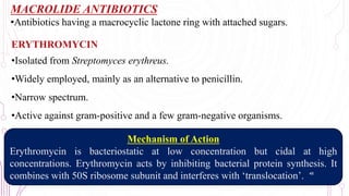 MACROLIDE ANTIBIOTICS
•Antibiotics having a macrocyclic lactone ring with attached sugars..
ERYTHROMYCIN
•Isolated from Streptomyces erythreus.
•Widely employed, mainly as an alternative to penicillin.
•Narrow spectrum.
•Active against gram-positive and a few gram-negative organisms.
Mechanism of Action
Erythromycin is bacteriostatic at low concentration but cidal at high
concentrations. Erythromycin acts by inhibiting bacterial protein synthesis. It
combines with 50S ribosome subunit and interferes with ‘translocation’. 48
 