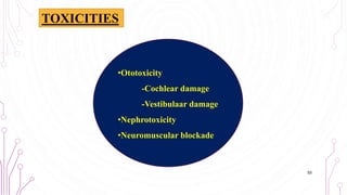 TOXICITIES
•Ototoxicity
-Cochlear damage
-Vestibulaar damage
•Nephrotoxicity
•Neuromuscular blockade
53
 