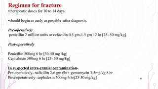 Regimen for fracture
•therapeutic doses for 10 to 14 days.
•should begin as early as possible after diagnosis.
Pre-operatively
penicillin 2 million units or cefazolin 0.5 gm-1.5 gm 12 hr [25- 50 mg/kg].
Post-operatively
Penicillin 500mg 6 hr [30-40 mg /kg]
Cephalexin 500mg 6 hr [25- 50 mg/kg]
In suspected intra-cranial contamination-
Pre-operatively- naficillin 2-6 gm 6hr+ gentamycin 3-5mg/kg 8 hr
Post-operatrively- cephalexin 500mg 6 hr[25-50 mg/kg] 81
 