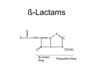 ß-Lactams
Β-Lactam
Ring
Thiazolidine Ring
 