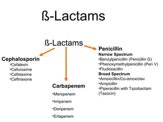 ß-Lactams
ß-Lactams
Penicillin
Narrow Spectrum
•Benzylpenicillin (Penicillin G)
•Phenoxymethylpenicillin (Pen V)
•Flucloxacillin
Broad Spectrum
•Amoxicillin/Co-amoxiclav
•Ampicillin
•Piperacillin with Tazobactam
(Tazocin)
Cephalosporin
•Cefalexin
•Cefuroxime
•Cefotaxime
•Ceftriaxone
Carbapenem
•Meropenem
•Imipenem
•Doripenem
•Ertapenem
 