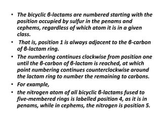 • The bicyclic β-lactams are numbered starting with the
position occupied by sulfur in the penams and
cephems, regardless of which atom it is in a given
class.
• That is, position 1 is always adjacent to the β-carbon
of β-lactam ring.
• The numbering continues clockwise from position one
until the β-carbon of β-lactam is reached, at which
point numbering continues counterclockwise around
the lactam ring to number the remaining to carbons.
• For example,
• the nitrogen atom of all bicyclic β-lactams fused to
five-membered rings is labelled position 4, as it is in
penams, while in cephems, the nitrogen is position 5.
 