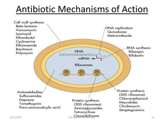 Antibiotic Mechanisms of Action
4/15/2020 14DR.DEEPAK VERMA DAC
 