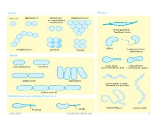 SHAPES
4/15/2020 4DR.DEEPAK VERMA DAC
 