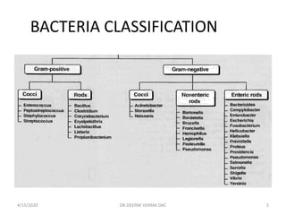BACTERIA CLASSIFICATION
4/15/2020 5DR.DEEPAK VERMA DAC
 