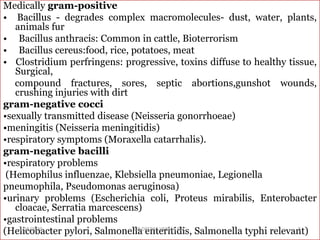 Medically gram-positive
• Bacillus - degrades complex macromolecules- dust, water, plants,
animals fur
• Bacillus anthracis: Common in cattle, Bioterrorism
• Bacillus cereus:food, rice, potatoes, meat
• Clostridium perfringens: progressive, toxins diffuse to healthy tissue,
Surgical,
compound fractures, sores, septic abortions,gunshot wounds,
crushing injuries with dirt
gram-negative cocci
•sexually transmitted disease (Neisseria gonorrhoeae)
•meningitis (Neisseria meningitidis)
•respiratory symptoms (Moraxella catarrhalis).
gram-negative bacilli
•respiratory problems
(Hemophilus influenzae, Klebsiella pneumoniae, Legionella
pneumophila, Pseudomonas aeruginosa)
•urinary problems (Escherichia coli, Proteus mirabilis, Enterobacter
cloacae, Serratia marcescens)
•gastrointestinal problems
(Helicobacter pylori, Salmonella enteritidis, Salmonella typhi relevant)4/15/2020 8DR.DEEPAK VERMA DAC
 
