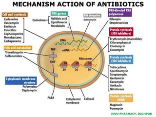 JNVU PHARMACY, JODHPUR
MECHANISM ACTION OF ANTIBIOTICS
 