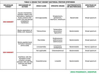 JNVU PHARMACY, JODHPUR
TABLE 3. DRUGS THAT INHIBIT BACTERIAL PROTEIN SYNTHESIS
MOLECULAR
TARGET
MECHANISM OF
ACTION
DRUG CLASS SPECIFIC DRUGS
BACTERIOSTATIC
OR BACTERICIDAL
SPECTRUM OF
ACTIVITY
30S SUBUNIT
Causes mismatches
between codons and
anticodons, leading to
faulty proteins that
insert into and disrupt
cytoplasmic
membrane
Aminoglycosides
Streptomycin,
gentamicin,
neomycin, kanamycin
Bactericidal Broad spectrum
Blocks association of
tRNAs with ribosome
Tetracyclines
Tetracycline,
doxycycline,
tigecycline
Bacteriostatic Broad spectrum
50S SUBUNIT
Blocks peptide bond
formation between
amino acids
Macrolides
Erythromycin,
azithromycin,
telithromycin
Bacteriostatic Broad spectrum
Lincosamides
Lincomycin,
clindamycin
Bacteriostatic Narrow spectrum
Not applicable Chloramphenicol Bacteriostatic Broad spectrum
Interferes with the
formation of the
initiation complex
between 50S and 30S
subunits and other
factors.
Oxazolidinones Linezolid Bacteriostatic Broad spectrum
 