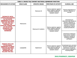 JNVU PHARMACY, JODHPUR
TABLE 4. DRUGS THAT INHIBIT BACTERIAL MEMBRANE FUNCTION
MECHANISM OF ACTION DRUG CLASS SPECIFIC DRUGS SPECTRUM OF ACTIVITY CLINICAL USE
INTERACTS WITH
LIPOPOLYSACCHARIDE
IN THE OUTER
MEMBRANE OF GRAM-
NEGATIVE BACTERIA,
KILLING THE CELL
THROUGH THE
EVENTUAL DISRUPTION
OF THE OUTER
MEMBRANE AND
CYTOPLASMIC
MEMBRANE
Polymyxins
Polymyxin B
Narrow spectrum against
gram-negative bacteria,
including multidrug-
resistant strains
Topical preparations to
prevent infections in
wounds
Polymyxin E (colistin)
Narrow spectrum against
gram-negative bacteria,
including multidrug-
resistant strains
Oral dosing to
decontaminate bowels to
prevent infections in
immunocompromised
patients or patients
undergoing invasive
surgery/procedures.
Intravenous dosing to
treat serious systemic
infections caused by
multidrug-resistant
pathogens
INSERTS INTO THE
CYTOPLASMIC
MEMBRANE OF GRAM-
POSITIVE BACTERIA,
DISRUPTING THE
MEMBRANE AND
KILLING THE CELL
Lipopeptide Daptomycin
Narrow spectrum against
gram-positive bacteria,
including multidrug-
resistant strains
Complicated skin and skin-
structure infections and
bacteremia caused by
gram-positive pathogens,
including MRSA
 