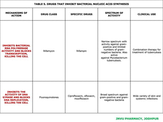 JNVU PHARMACY, JODHPUR
TABLE 5. DRUGS THAT INHIBIT BACTERIAL NUCLEIC ACID SYNTHESIS
MECHANISMS OF
ACTION
DRUG CLASS SPECIFIC DRUGS
SPECTRUM OF
ACTIVITY
CLINICAL USE
INHIBITS BACTERIAL
RNA POLYMERASE
ACTIVITY AND BLOCKS
TRANSCRIPTION,
KILLING THE CELL
Rifamycin Rifampin
Narrow spectrum with
activity against gram-
positive and limited
numbers of gram-
negative bacteria. Also
active
against Mycobacterium
tuberculosis.
Combination therapy for
treatment of tuberculosis
INHIBITS THE
ACTIVITY OF DNA
GYRASE AND BLOCKS
DNA REPLICATION,
KILLING THE CELL
Fluoroquinolones
Ciprofloxacin, ofloxacin,
moxifloxacin
Broad spectrum against
gram-positive and gram-
negative bacteria
Wide variety of skin and
systemic infections
 