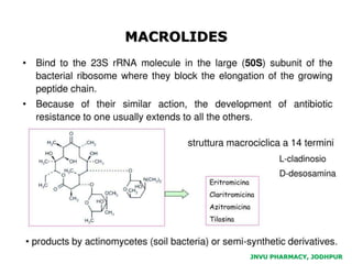 JNVU PHARMACY, JODHPUR
MACROLIDES
 