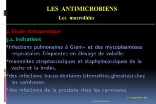 LES ANTIMICROBIENS
Les macrolides
Les antimicrobiens 172
3. Etude thérapeutique
3.1. indications
*infections pulmonaires à Gram+ et des mycoplasmoses
respiratoires fréquentes en élevage de volaille.
*mammites streptoccociques et staphylococciques de la
vache et la brebis.
*des infections bucco-dentaires (stomatites,glossites) chez
les carnivores.
*des infections de la prostate chez les carnivores.
www.etude-az.com
 