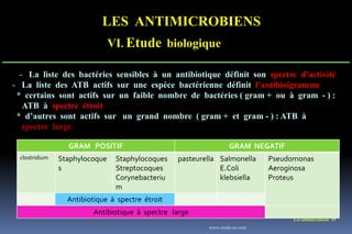 LES ANTIMICROBIENS
VI. Etude biologique
Les antimicrobiens 19
- La liste des bactéries sensibles à un antibiotique définit son spectre d’activité
- La liste des ATB actifs sur une espéce bactérienne définit l’antibioigramme
* certains sont actifs sur un faible nombre de bactéries ( gram + ou à gram - ) :
ATB à spectre étroit
* d’autres sont actifs sur un grand nombre ( gram + et gram - ) : ATB à
spectre large
GRAM POSITIF GRAM NEGATIF
clostridium Staphylocoque
s
Staphylocoques
Streptocoques
Corynebacteriu
m
pasteurella Salmonella
E.Coli
klebsiella
Pseudomonas
Aeroginosa
Proteus
Antibiotique à spectre étroit
Antibiotique à spectre large
www.etude-az.com
 
