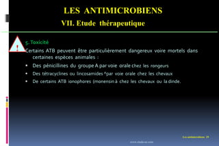 LES ANTIMICROBIENS
VII. Etude thérapeutique
Les antimicrobiens 29
!
5.Toxicité
Certains ATB peuvent être particulièrement dangereux voire mortels dans
certaines espèces animales :
 Des pénicillines du groupe A par voie orale chez les rongeurs
 Des tétracyclines ou lincosamides ^par voie orale chez les chevaux
 De certains ATB ionophores (monensin à chez les chevaux ou la dinde.
www.etude-az.com
 