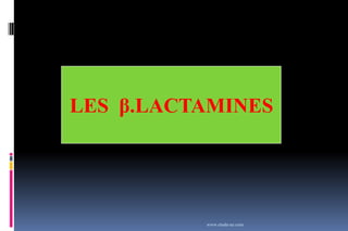 LES β.LACTAMINES
www.etude-az.com
 