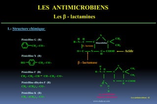 LES ANTIMICROBIENS
Les  - lactamines
Les antimicrobiens 42
1.- Structure chimique
Pénicilline G (R)
Pénicilline X (R)
Pénicilline F (R)
Pénicilline dihydro F (R)
Pénicilline K (R)
CH3 - CH2 - CH CH - CH2 - CO -
CH3 - (CH2) 4 - CO -
CH3 - (CH2) 6 - CO -
CH2 - CO -
HO
R - N - C
COOH
CH3
CH3
C C
S
H
O = C
H
N C
H
Acide
R - N - C
COOH
CH3
CH3
C C
S
H
C
H
N C
H
O O
H
- lactamase
- lactame
thiazolidine
ac. pénicilloïque
(haptène allergisant)
CH2 - CO -
www.etude-az.com
 