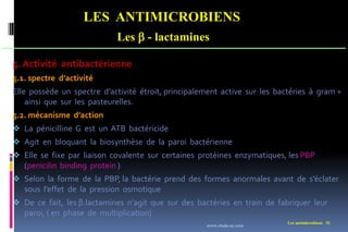 Les antimicrobiens 51
LES ANTIMICROBIENS
Les  - lactamines
5. Activité antibactérienne
5.1. spectre d’activité
Elle possède un spectre d’activité étroit, principalement active sur les bactéries à gram +
ainsi que sur les pasteurelles.
5.2. mécanisme d’action
 La pénicilline G est un ATB bactéricide
 Agit en bloquant la biosynthèse de la paroi bactérienne
 Elle se fixe par liaison covalente sur certaines protèines enzymatiques, les PBP
(penicilin binding protein )
 Selon la forme de la PBP, la bactérie prend des formes anormales avant de s’éclater
sous l’effet de la pression osmotique
 De ce fait, les β.lactamines n’agit que sur des bactéries en train de fabriquer leur
paroi, ( en phase de multiplication)
www.etude-az.com
 