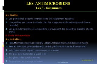 Les antimicrobiens 57
LES ANTIMICROBIENS
Les  - lactamines
5.3. toxicité
 Les pénicillines de semi-synthèse sont très faiblement toxiques
 L’ampicilline est contre indiquée chez les rongeurs ( entérocolite dysentériforme
mortelle)
 Les péni.A (ampicilline et amoxicilline ), provoquent des désordres digestifs chez le
cheval
6. Etude thérapeutique
6.1. indications
 Péni.M: infections provoquées (BG+:staph), trt local des mammites(strep,staph)
 Péni.A: infections provoquées (BG+ ou BG -) (BG- secrétrices de β.lactamases)
 Infections septicimiques , respiratoires et urinaires
 Trt local des mammites à Gram + et –
 Trt général des staph cutanées
 Prophylaxie en élevage industriel www.etude-az.com
 
