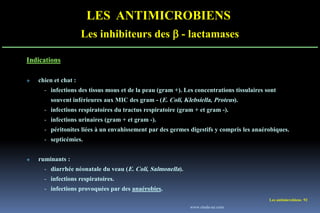 Les antimicrobiens 92
LES ANTIMICROBIENS
Les inhibiteurs des  - lactamases
Indications
 chien et chat :
- infections des tissus mous et de la peau (gram +). Les concentrations tissulaires sont
souvent inférieures aux MIC des gram - (E. Coli, Klebsiella, Proteus).
- infections respiratoires du tractus respiratoire (gram + et gram -).
- infections urinaires (gram + et gram -).
- péritonites liées à un envahissement par des germes digestifs y compris les anaérobiques.
- septicémies.
 ruminants :
- diarrhée néonatale du veau (E. Coli, Salmonella).
- infections respiratoires.
- infections provoquées par des anaérobies.
www.etude-az.com
 