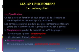 Les antimicrobiens 95
LES ANTIMICROBIENS
Les aminocyclitols
1.2. Classification
On les classe en fonction de leur origine et de la nature de
l’aminocyclitol et des oses qui s’y rattachent .
Les composés naturels produits par des champignons inférieurs
(ordre des Actinomycétales ) , principalement par 2 genres:
 Streptomyces , produit la majorité des ATB du groupe :
-Streptomyces griseus : streptomycine
-Streptomyces fradiae : néomycine
 Micromonospora
-Micromonospora purpurea : gentamycine, sisomicine
www.etude-az.com
 