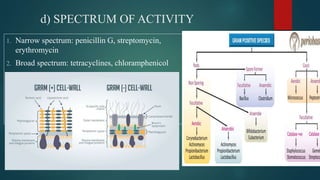 antibiotics.ppt