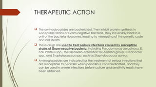 THERAPEUTIC ACTION
 The aminoglycosides are bactericidal. They inhibit protein synthesis in
susceptible strains of Gram-negative bacteria. They irreversibly bind to a
unit of the bacteria ribosomes, leading to misreading of the genetic code
and cell death.
 These drugs are used to treat serious infections caused by susceptible
strains of Gram-negative bacteria, including Pseudomonas aeruginosa, E.
coli, Proteus spp., the Klebsiella–Enterobacter–Serratia group, Citrobacter
spp., and Staphylococcus spp. such as Staphylococcus aureus.
 Aminoglycosides are indicated for the treatment of serious infections that
are susceptible to penicillin when penicillin is contraindicated, and they
can be used in severe infections before culture and sensitivity results have
been obtained.
 