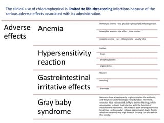 The clinical use of chloramphenicol is limited to life-threatening infections because of the
serious adverse effects associated with its administration.
Adverse
effects
Anemia
Hemolytic anemia –less glucose 6-phosphate dehydrogenase.
Reversible anemia- side effect , dose related
Aplastic anemia - rare - idiosyncratic - usually fatal
Hypersensitivity
reaction
Rashes,
fever,
atrophic glossitis
angioedema
Gastrointestinal
irritative effects
Nausea
vomiting
diarrhoea
Gray baby
syndrome
Neonates have a low capacity to glucuronylate the antibiotic,
and they have underdeveloped renal function. Therefore,
neonates have a decreased ability to excrete the drug, which
accumulates to levels that interfere with the function of
mitochondrial ribosomes. This leads to poor feeding,depressed
breathing, cardiovascular collapse, cyanosis and death. Adults
who have received very high doses of the drug can also exhibit
this toxicity.
 