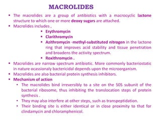 MACROLIDES
 The macrolides are a group of antibiotics with a macrocyclic lactone
structure to which one or more deoxy sugars are attached.
 Macrolides includes ,
 Erythromycin
 Clarithromycin
 Azithromycin -methyl-substituted nitrogen in the lactone
ring that improves acid stability and tissue penetration
and broadens the activity spectrum.
 Roxithromycin .
 Macrolides are narrow spectrum antibiotic. More commonly bacteriostatic
in nature ocassionaly bactericidal depends upon the microorganism.
 Macrolides are also bacterial protein synthesis inhibitors.
 Mechanism of action
• The macrolides bind irreversibly to a site on the 50S subunit of the
bacterial ribosome, thus inhibiting the translocation steps of protein
synthesis .
• They may also interfere at other steps, such as transpeptidation.
• Their binding site is either identical or in close proximity to that for
clindamycin and chloramphenicol.
 