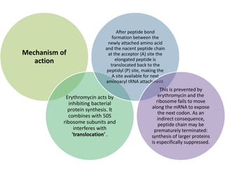 Mechanism of
action
Erythromycin acts by
inhibiting bacterial
protein synthesis. lt
combines with 50S
ribosome subunits and
interferes with
'translocation' .
After peptide bond
formation between the
newly attached amino acid
and the nacent peptide chain
at the acceptor (A) site the
elongated peptide is
translocated back to the
peptidyl (P) site, making the
A site available for next
aminoacyl tRNA attachment.
This is prevented by
erythromycin and the
ribosome fails to move
along the mRNA to expose
the next codon. As an
indirect consequence,
peptide chain may be
prematurely terminated:
synthesis of larger proteins
is especifically suppressed.
 