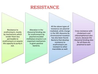 Resistance to
erythromycin, mostly
by mechanisms which
render them less
permeable to
erythromycin or acquire
the capacity to pump it
out.
Alteration in the
ribosomal binding site
for erythromycin by
plasmid encoded
methylase enzyme is an
important mechanism
in gram-positive
bacteria.
All the above types of
resistance are plasmid
mediated, while change
in the 50S ribosome by
chromosomal mutation
has also been found.
Bacteria that develop
resistance to
erythromycin are
resistant to other
macrolides as well.
Cross resistance with
clindamycin and
chloramphenicol also
occurs, because the
ribosomal binding sites
for all these are
proximal to each
RESISTANCE
 